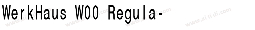WerkHaus W00 Regula字体转换